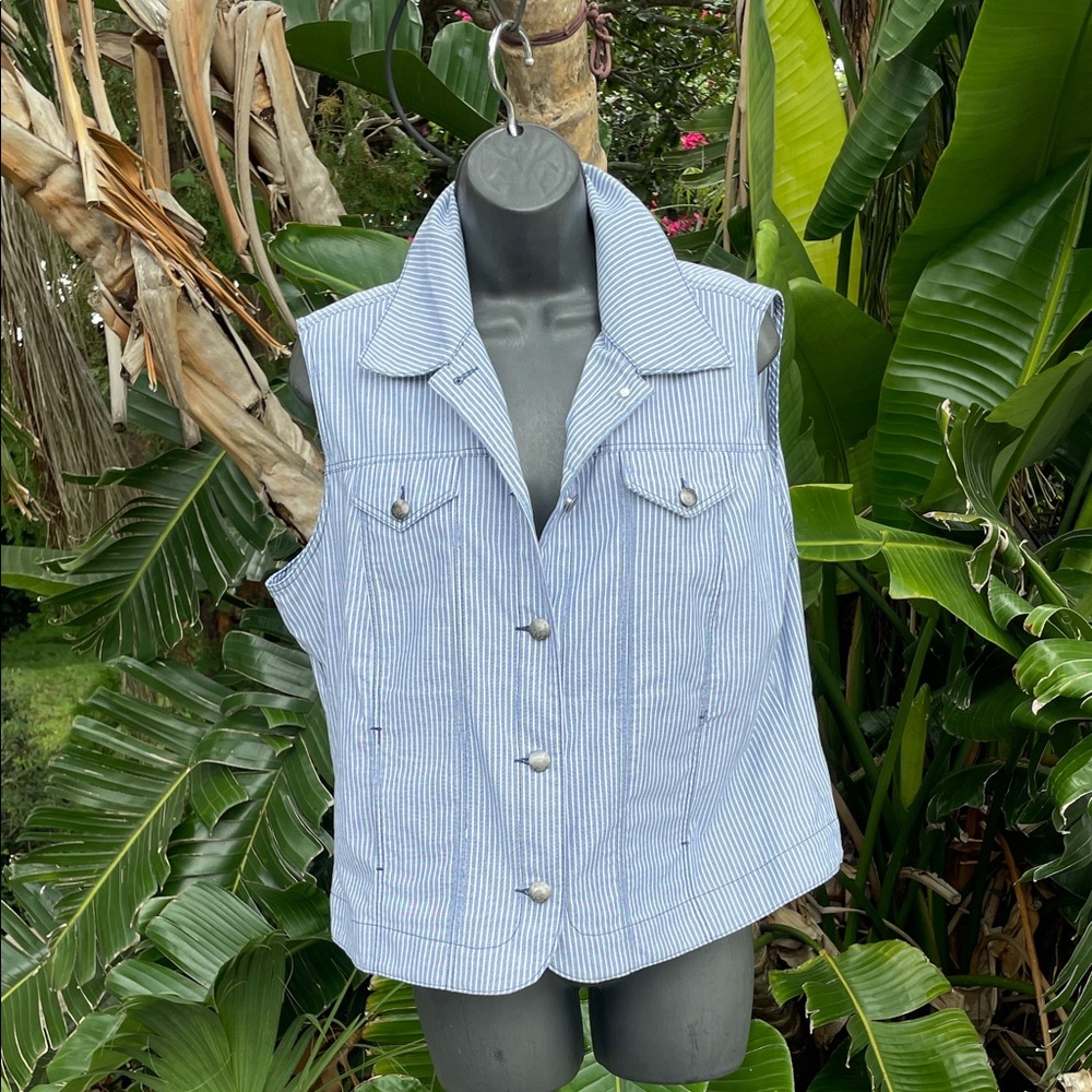 pinstripe vest  with silver buttons